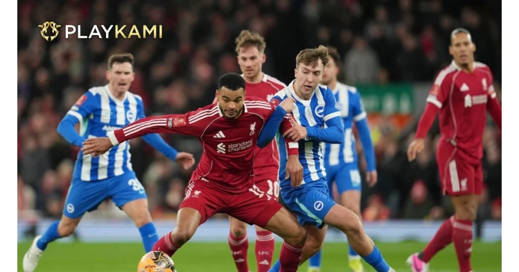 Prediksi EPL Playkami Brighton vs Liverpool